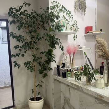Сдается Офис, 41 м²