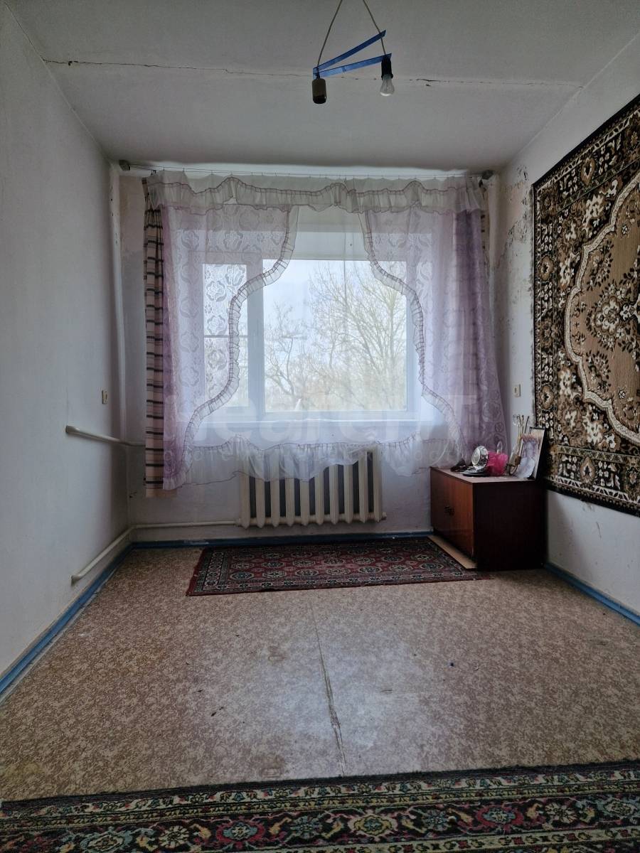 Фотография №7