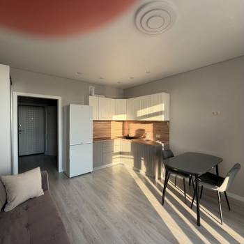 Сдается 1-комнатная квартира, 24 м²