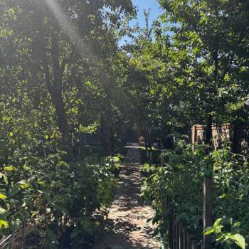 Продается Участок, 800 м²