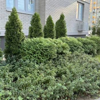 Продается 2-х комнатная квартира, 40,3 м²
