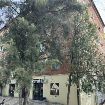 Продается Офис, 18,7 м²