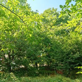 Продается Участок, 1000 м²