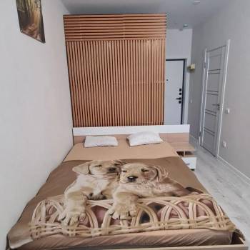 Сдается 1-комнатная квартира, 24 м²