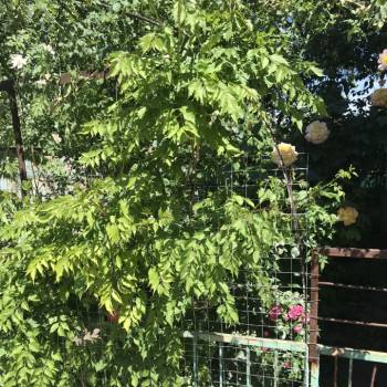 Продается Дом, 146 м²