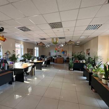 Сдается Офис, 330 м²