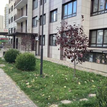 Сдается Нежилое помещение, 18 м²