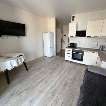 Сдается 1-комнатная квартира, 24,1 м²
