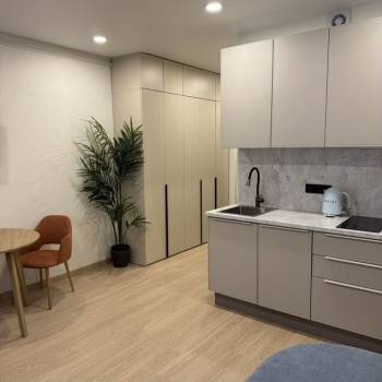 Сдается 1-комнатная квартира, 26,5 м²