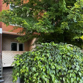 Продается 2-х комнатная квартира, 70,01 м²