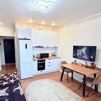 Продается 1-комнатная квартира, 27,2 м²