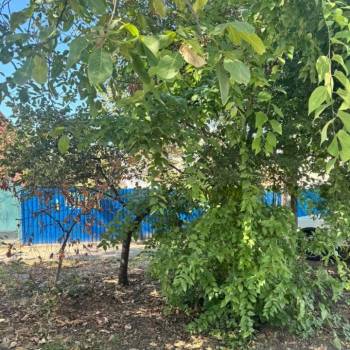 Продается Участок, 600 м²
