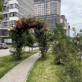 Сдается 1-комнатная квартира, 40 м²