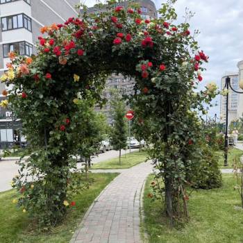 Сдается 1-комнатная квартира, 40 м²