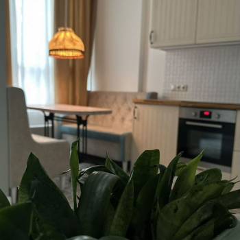 Сдается 1-комнатная квартира, 24 м²