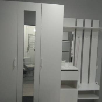 Сдается 1-комнатная квартира, 23,9 м²