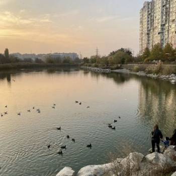 Сдается Комната, 20 м²