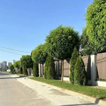 Продается Участок, 900 м²