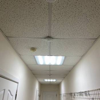 Сдается Нежилое помещение, 236 м²