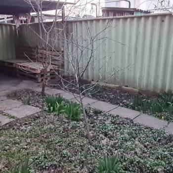 Сдается Дом, 110 м²