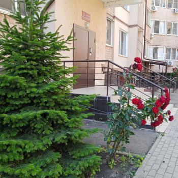 Сдается 1-комнатная квартира, 38 м²