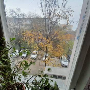 Сдается 2-х комнатная квартира, 43 м²