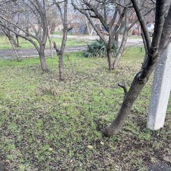 Сдается Дом, 54 м²