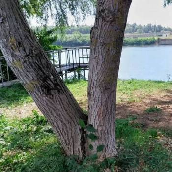 Продается Участок, 1000 м²