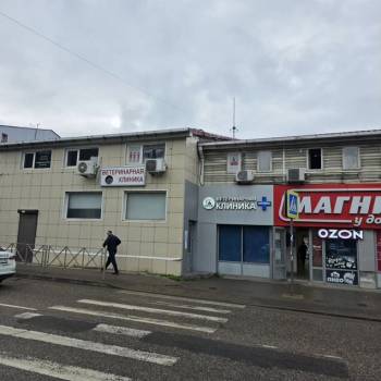 Сдается Нежилое помещение, 380 м²