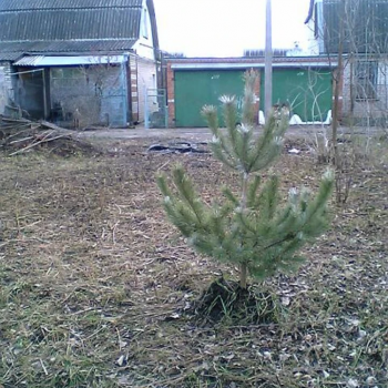Продается Участок, 419 м²