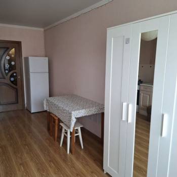 Сдается 1-комнатная квартира, 26,7 м²