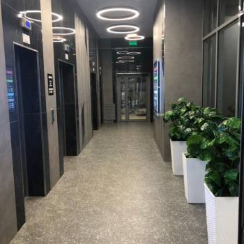 Сдается Нежилое помещение, 29,6 м²
