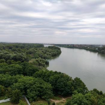Сдается 1-комнатная квартира, 25,4 м²