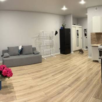 Сдается 1-комнатная квартира, 30 м²