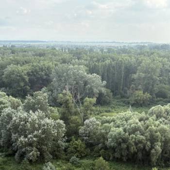 Продается 2-х комнатная квартира, 53,9 м²