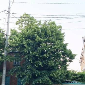 Продается Участок, 400 м²