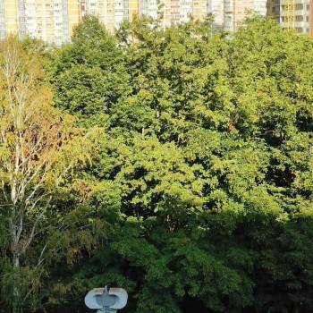 Сдается 2-х комнатная квартира, 43,5 м²