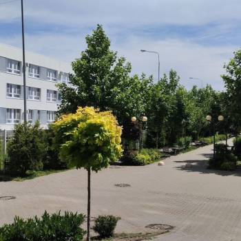 Продается Нежилое помещение, 72 м²