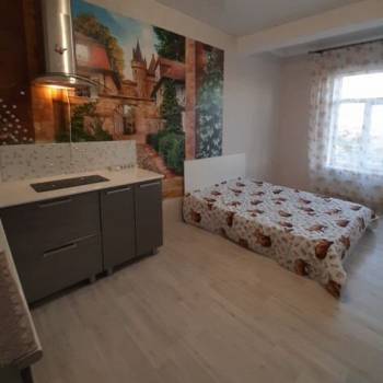 Сдается 1-комнатная квартира, 27,9 м²