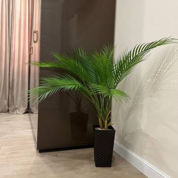 Сдается 1-комнатная квартира, 36 м²