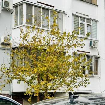 Сдается 2-х комнатная квартира, 59,8 м²