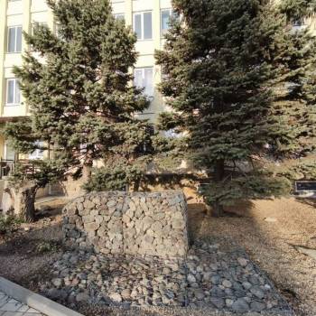 Сдается 1-комнатная квартира, 16 м²