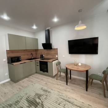 Сдается 1-комнатная квартира, 26,8 м²