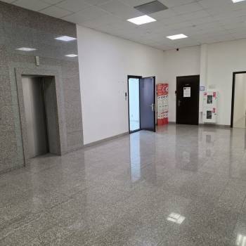 Сдается Нежилое помещение, 130 м²
