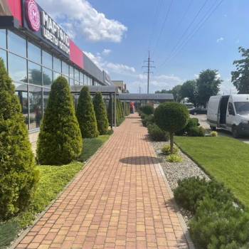 Сдается Нежилое помещение, 231 м²