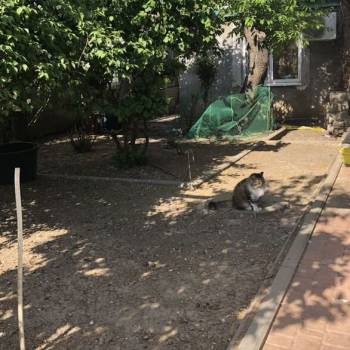 Продается Участок, 470 м²