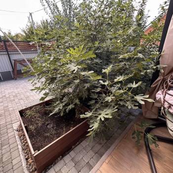 Продается Дом, 80 м²