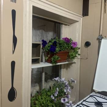 Сдается Дом, 40 м²