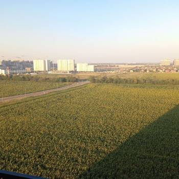 Сдается 1-комнатная квартира, 34,3 м²
