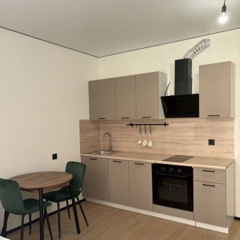 Сдается 1-комнатная квартира, 30,1 м²